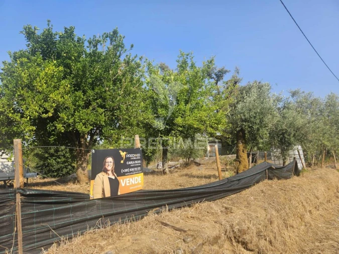 Terreno para Venda em Beco Foto 4