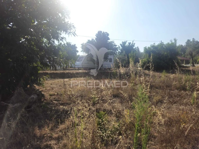 Terreno para Venda em Beco Foto 12