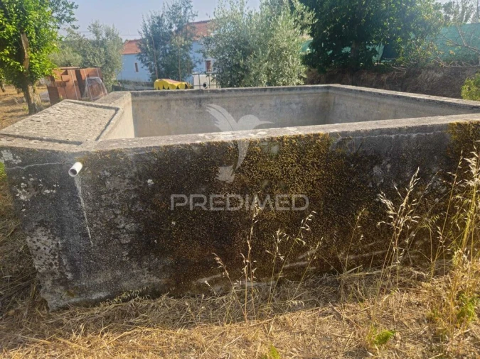 Terreno para Venda em Beco Foto 8