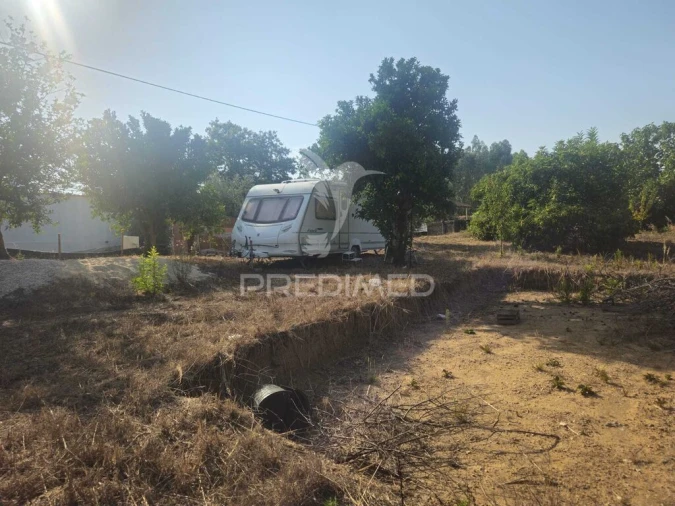 Terreno para Venda em Beco Foto 13