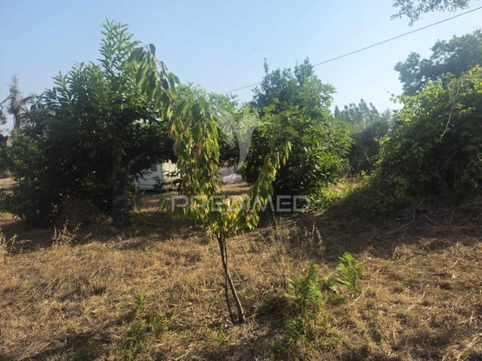 Terreno para Venda em Beco Foto 9