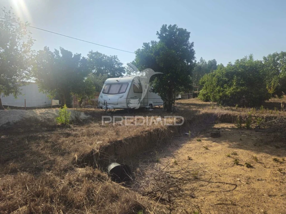 Terreno para Venda em Beco Foto 13
