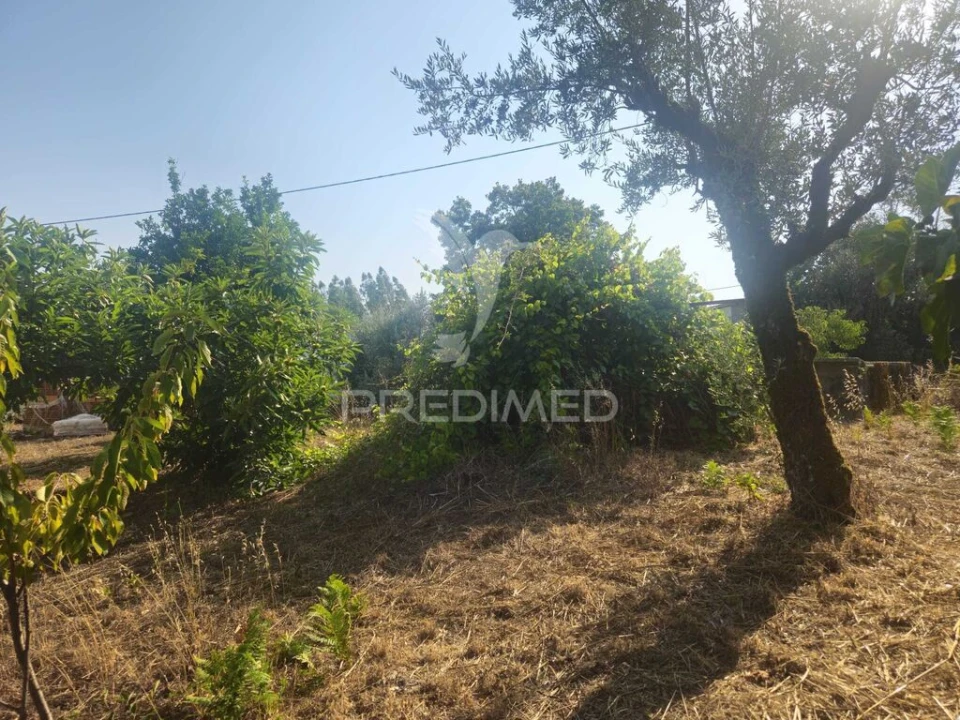 Terreno para Venda em Beco Foto 10