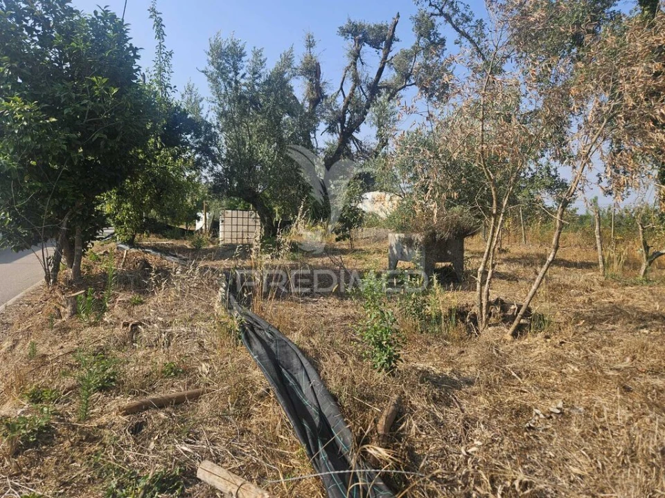 Terreno para Venda em Beco Foto 1