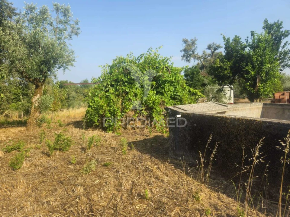 Terreno para Venda em Beco Foto 7