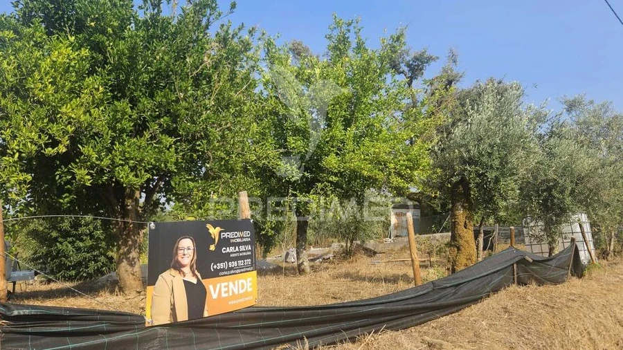 Terreno para Venda em Beco