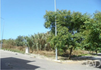 Terreno para Venda em Buarcos