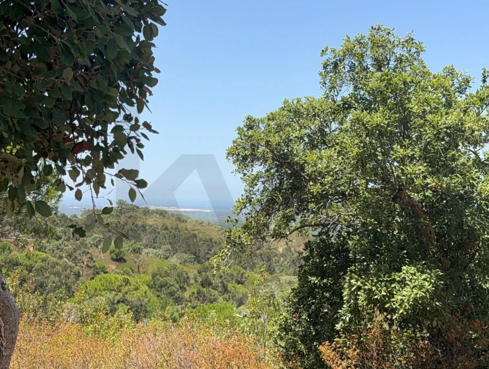 Quinta T2 para Venda em Santiago do Cacém, Santa Cruz e São Bartolomeu da Serra Foto 4