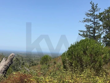 Quinta T2 para Venda em Santiago do Cacém, Santa Cruz e São Bartolomeu da Serra
