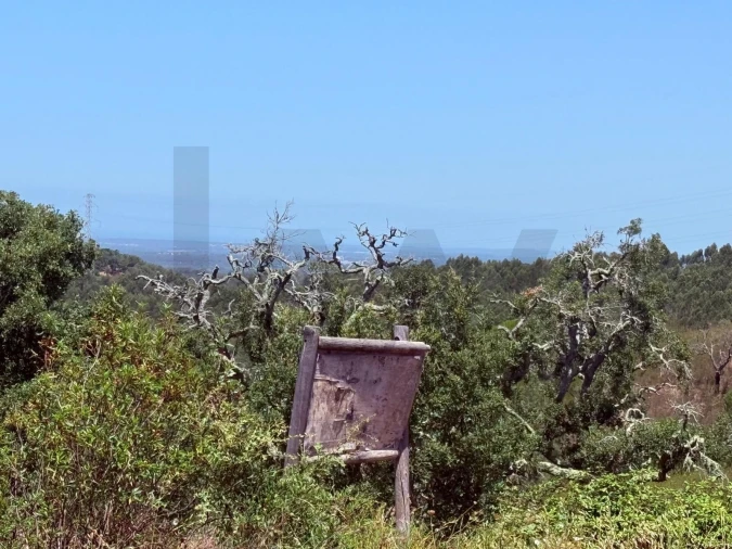 Quinta T2 para Venda em Santiago do Cacém, Santa Cruz e São Bartolomeu da Serra Foto 6