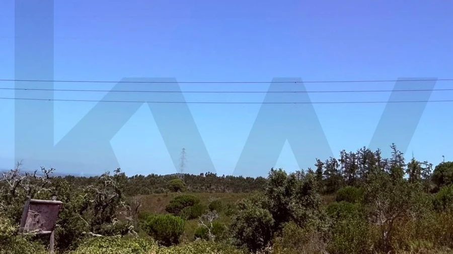 Quinta T2 para Venda em Santiago do Cacém, Santa Cruz e São Bartolomeu da Serra