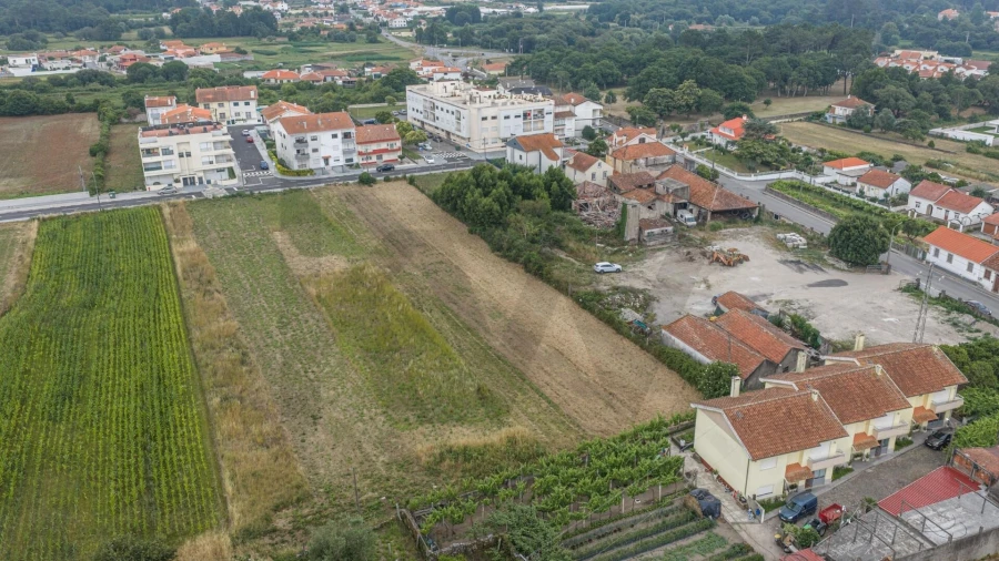 Terreno para Venda em Vila Praia de Ancora Foto 14