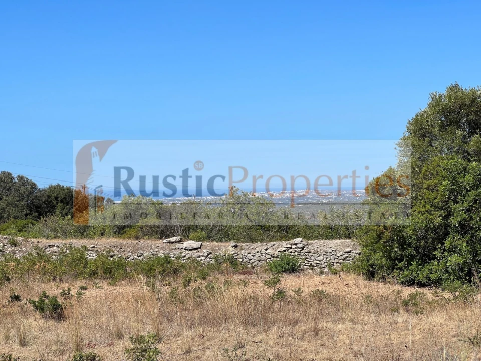 Terreno para Venda em Loule (São Sebastião) Foto 9