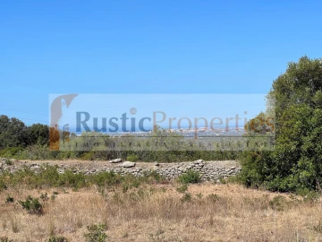 Terreno para Venda em Loule (São Sebastião)