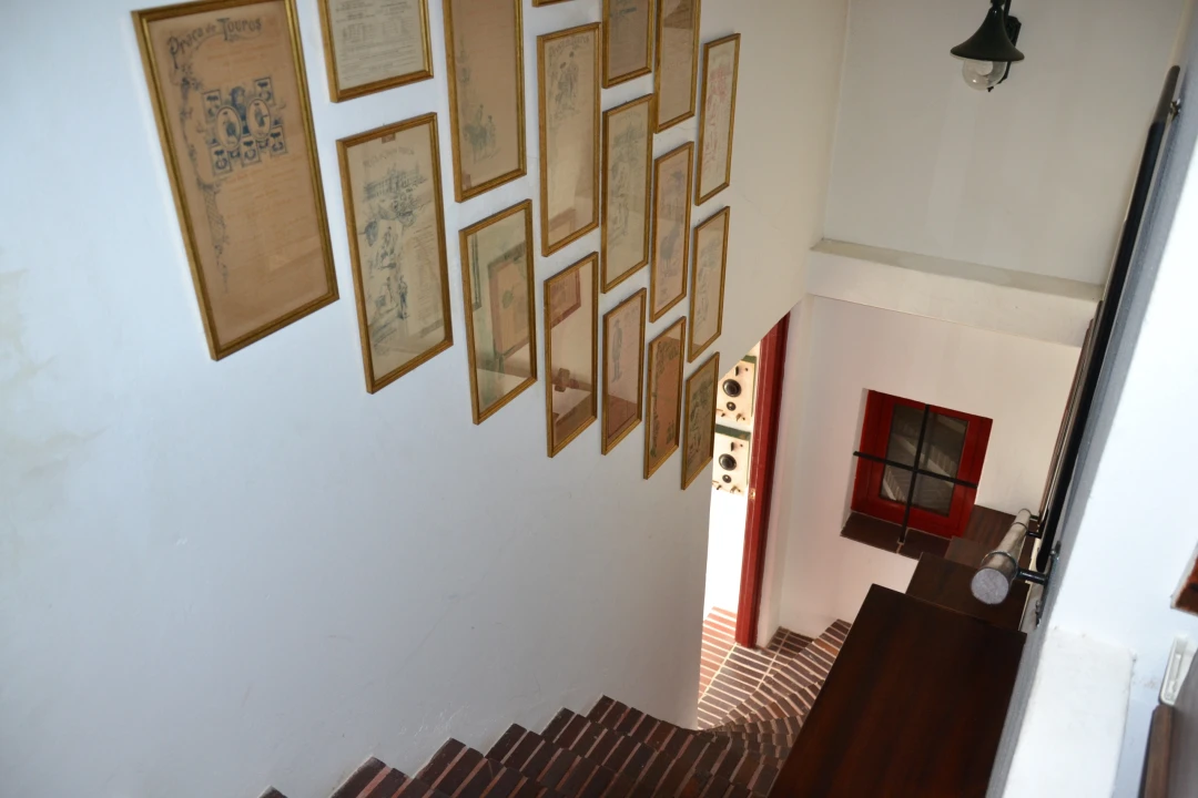 Moradia T4 para Venda em Santo Estêvão Foto 26