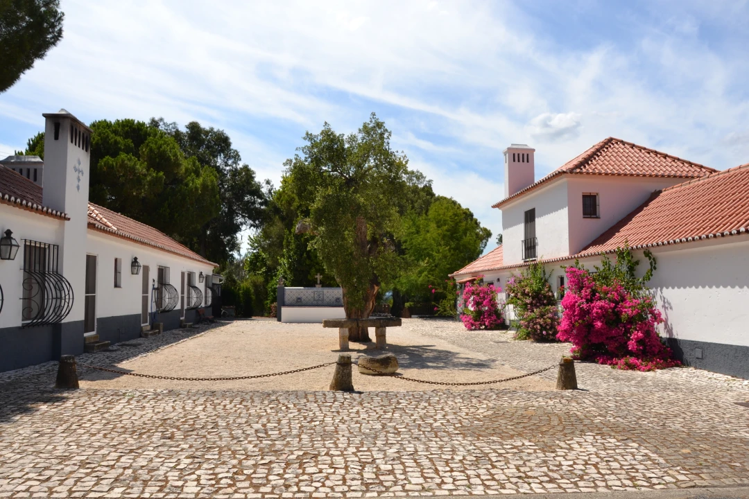 Moradia T4 para Venda em Santo Estêvão Foto 6