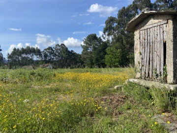 Moradia T4 para Venda em Reboreda e Nogueira