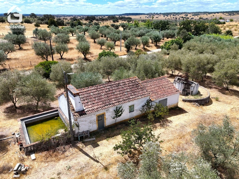 Quinta T1 para Venda em Benavila e Valongo Foto 4