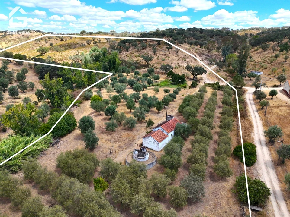 Quinta T1 para Venda em Benavila e Valongo Foto 1