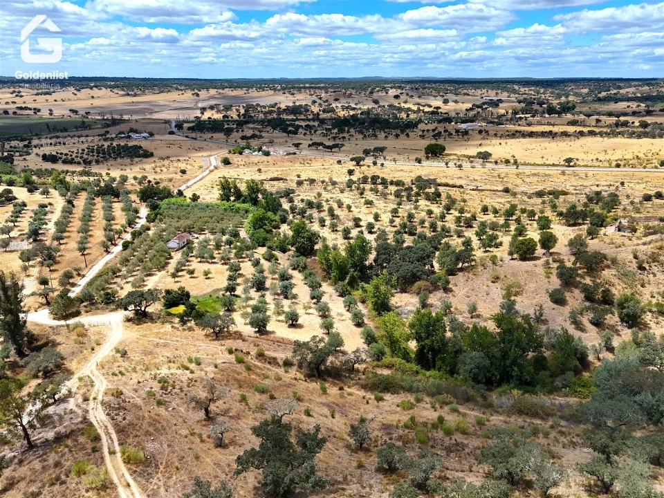 Quinta T1 para Venda em Benavila e Valongo Foto 27