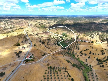 Quinta T1 para Venda em Benavila e Valongo