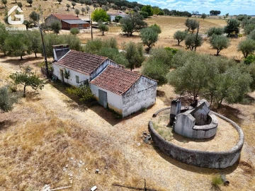 Quinta T1 para Venda em Benavila e Valongo