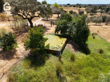 Quinta T1 para Venda em Benavila e Valongo