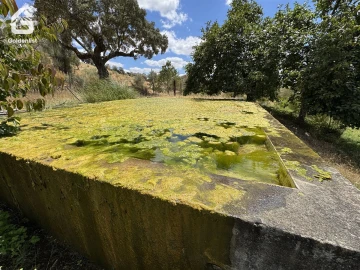 Quinta T1 para Venda em Benavila e Valongo
