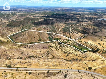 Quinta T1 para Venda em Benavila e Valongo