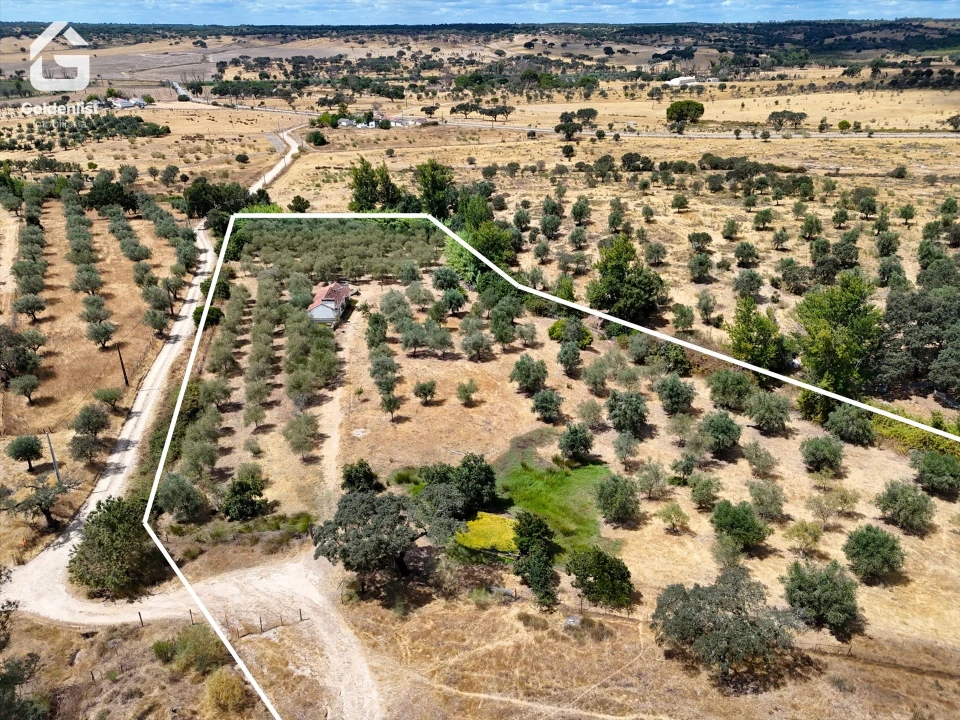 Quinta T1 para Venda em Benavila e Valongo Foto 5