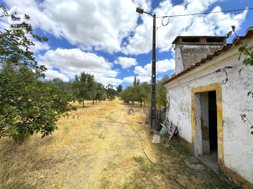 Quinta T1 para Venda em Benavila e Valongo Foto 19