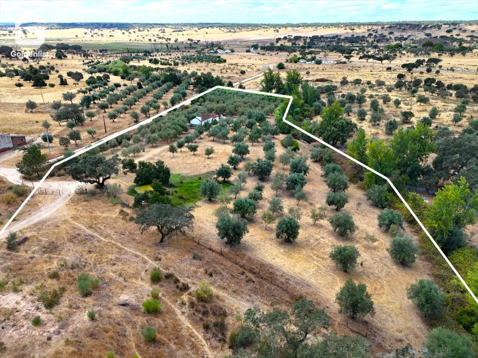 Quinta T1 para Venda em Benavila e Valongo Foto 9