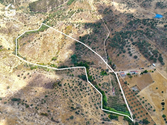 Quinta T1 para Venda em Benavila e Valongo Foto 38