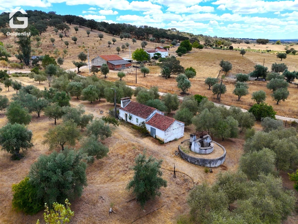 Quinta T1 para Venda em Benavila e Valongo Foto 13