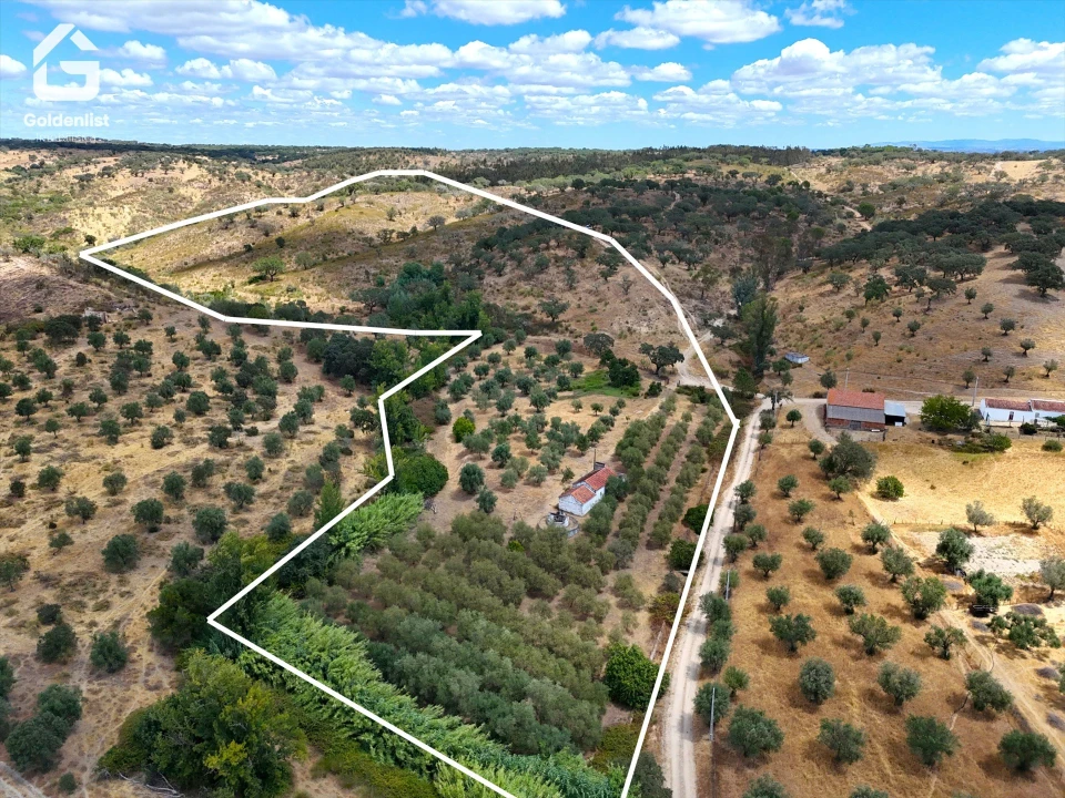 Quinta T1 para Venda em Benavila e Valongo Foto 7