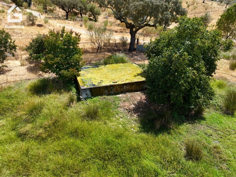 Quinta T1 para Venda em Benavila e Valongo Foto 12