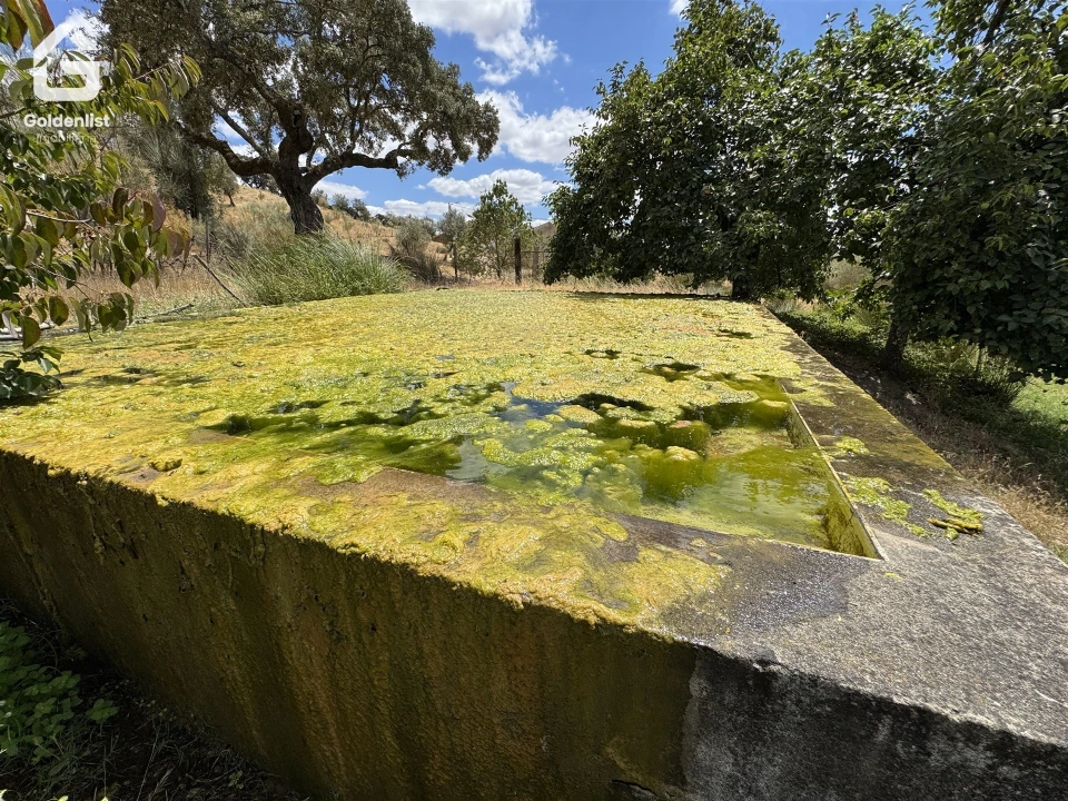 Quinta T1 para Venda em Benavila e Valongo Foto 11