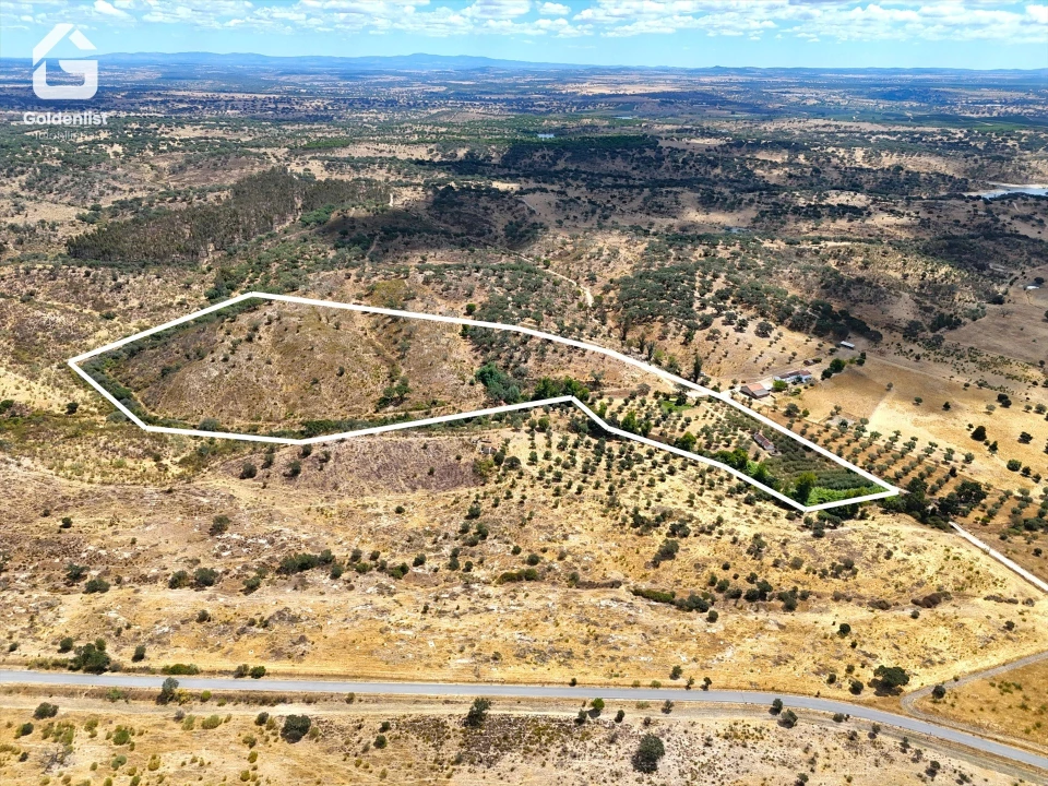 Quinta T1 para Venda em Benavila e Valongo Foto 39