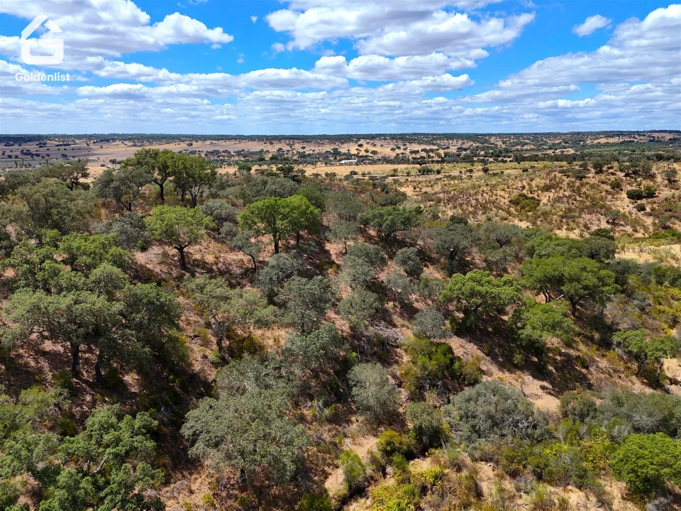 Quinta T1 para Venda em Benavila e Valongo Foto 37