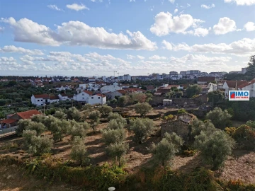 Apartamento T1 para Venda em Castelo Branco