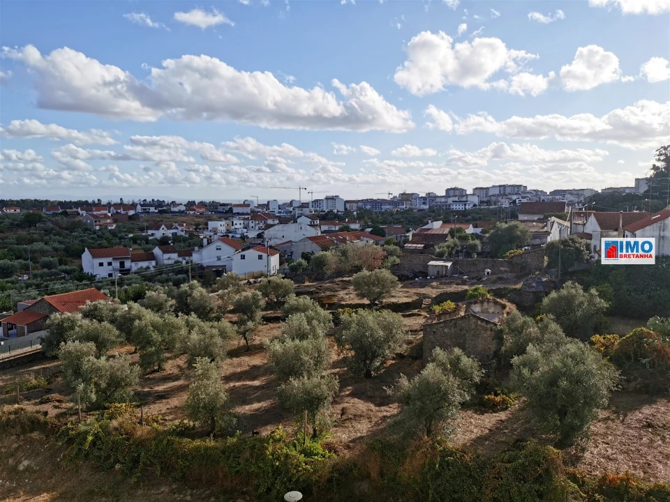 Apartamento T1 para Venda em Castelo Branco Foto 7