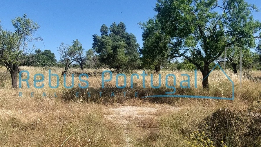 Terreno para Venda em Boliqueime