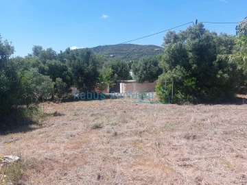 Terreno para Venda em Santa Barbara de Nexe