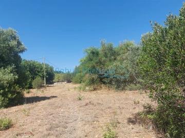 Terreno para Venda em Santa Barbara de Nexe