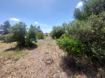 Terreno para Venda em Santa Barbara de Nexe