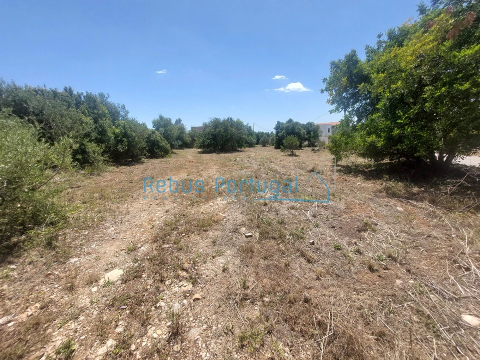 Terreno para Venda em Santa Barbara de Nexe Foto 5
