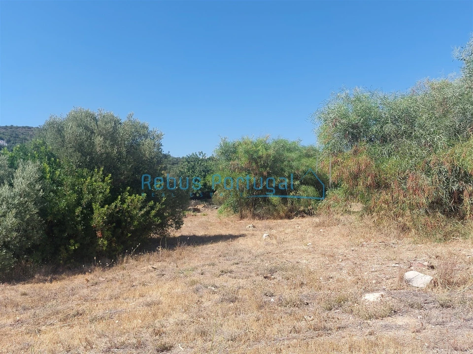 Terreno para Venda em Santa Barbara de Nexe Foto 9