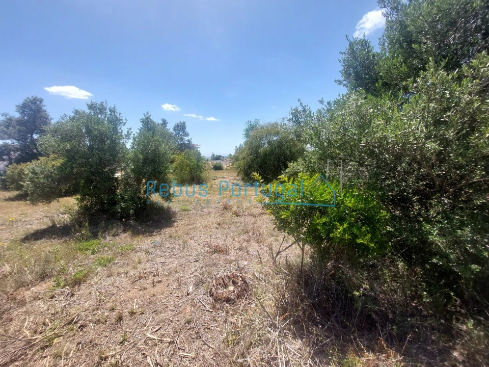 Terreno para Venda em Santa Barbara de Nexe Foto 8