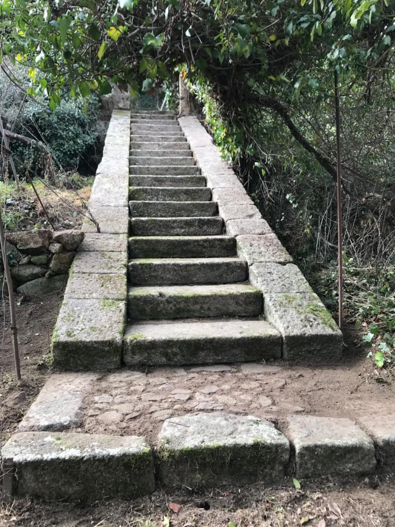 Moradia T10 para Venda em Nossa Senhora da Conceição, São Pedro e São Dinis Foto 50
