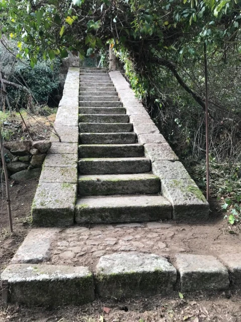 Moradia T10 para Venda em Nossa Senhora da Conceição, São Pedro e São Dinis